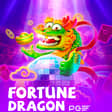 Fortune Dragon