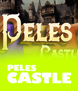 Imagem do jogo Peles Castle