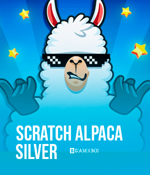 Scratch Alpaca Silver