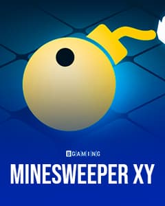 Minesweeper XY