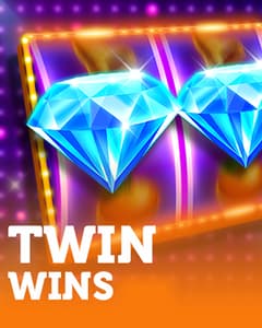 TWIN WINS