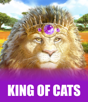 Imagem do jogo King of Cats