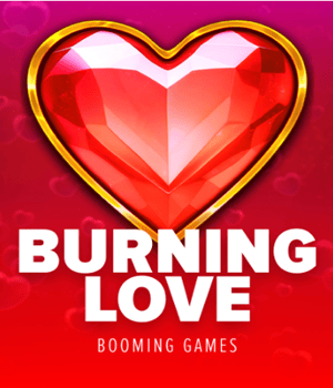 Imagem do jogo Burning Love