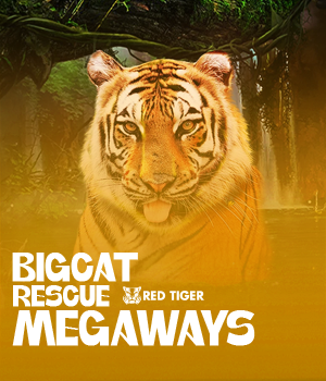 Imagem do jogo Big Cat Rescue Megaways