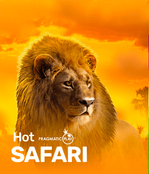 Hot Safari