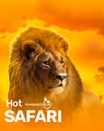 Hot Safari