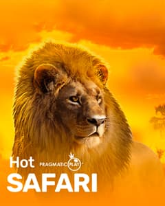 Hot Safari