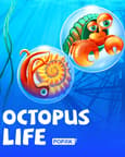Octopus Life