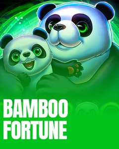 Bamboo Fortune