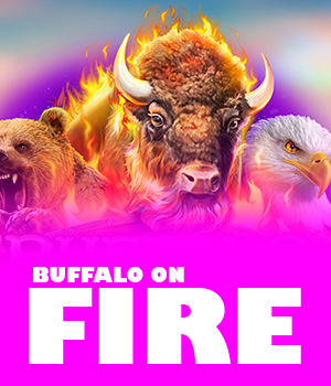 Buffalo on Fire!	