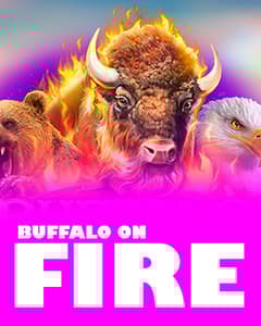 Buffalo on Fire!	