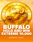 Buffalo Hold and Win Extreme 10,000