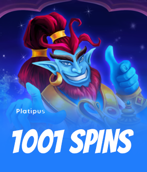 1001 Spins