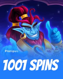 1001 Spins