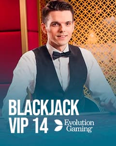 Blackjack VIP 14