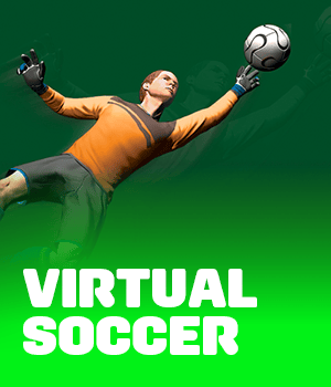 Virtual Soccer