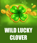 Wild Lucky Clover