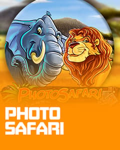 Photo Safari