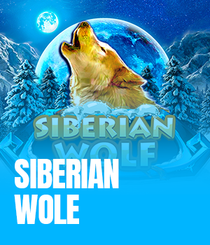 Siberian Wolf	