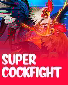 Super Cockfight