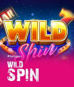 Imagem do jogo Wild Spin