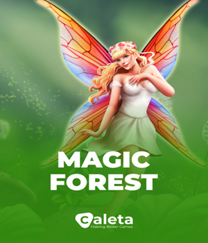 Magic Forest