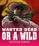 Wanted Dead or a WildHacksaw