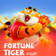 Fortune Tiger