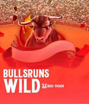 Imagem do jogo Bulls Run Wild