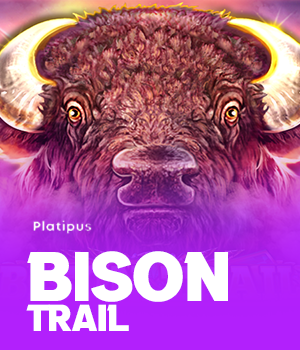 Bison Trail
