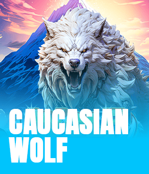 Caucasian Wolf