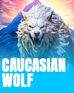 Caucasian Wolf