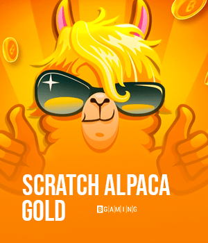 Scratch Alpaca Gold