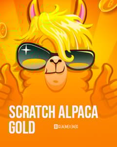 Scratch Alpaca Gold