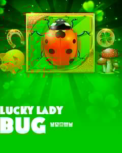Lucky Lady Bug