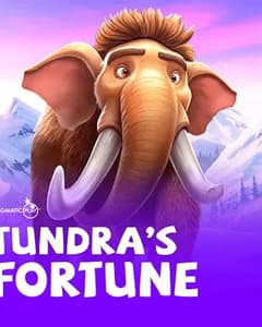 Tundra's Fortune
