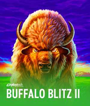 Imagem do jogo Buffalo Blitz II