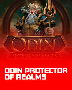 Odin: Protector of Realms