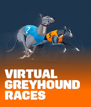 Imagem do jogo Virtual Greyhound Races