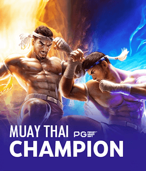 Muay Thai Champion