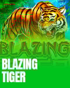 Blazing Tiger