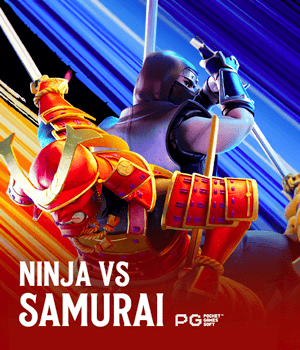 Ninja vs Samurai