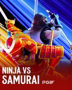 Ninja vs Samurai