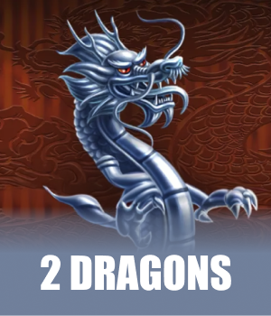 Imagem do jogo 2 Dragons