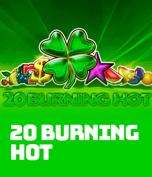 Imagem do jogo 20 Burning Hot