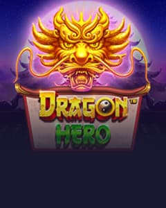 Dragon Hero