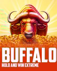 Buffalo Hold and Win Extreme
