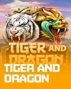 Tiger and Dragon	