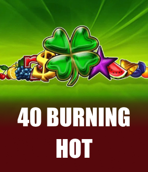 Imagem do jogo 40 Burning Hot