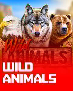 Wild Animals	